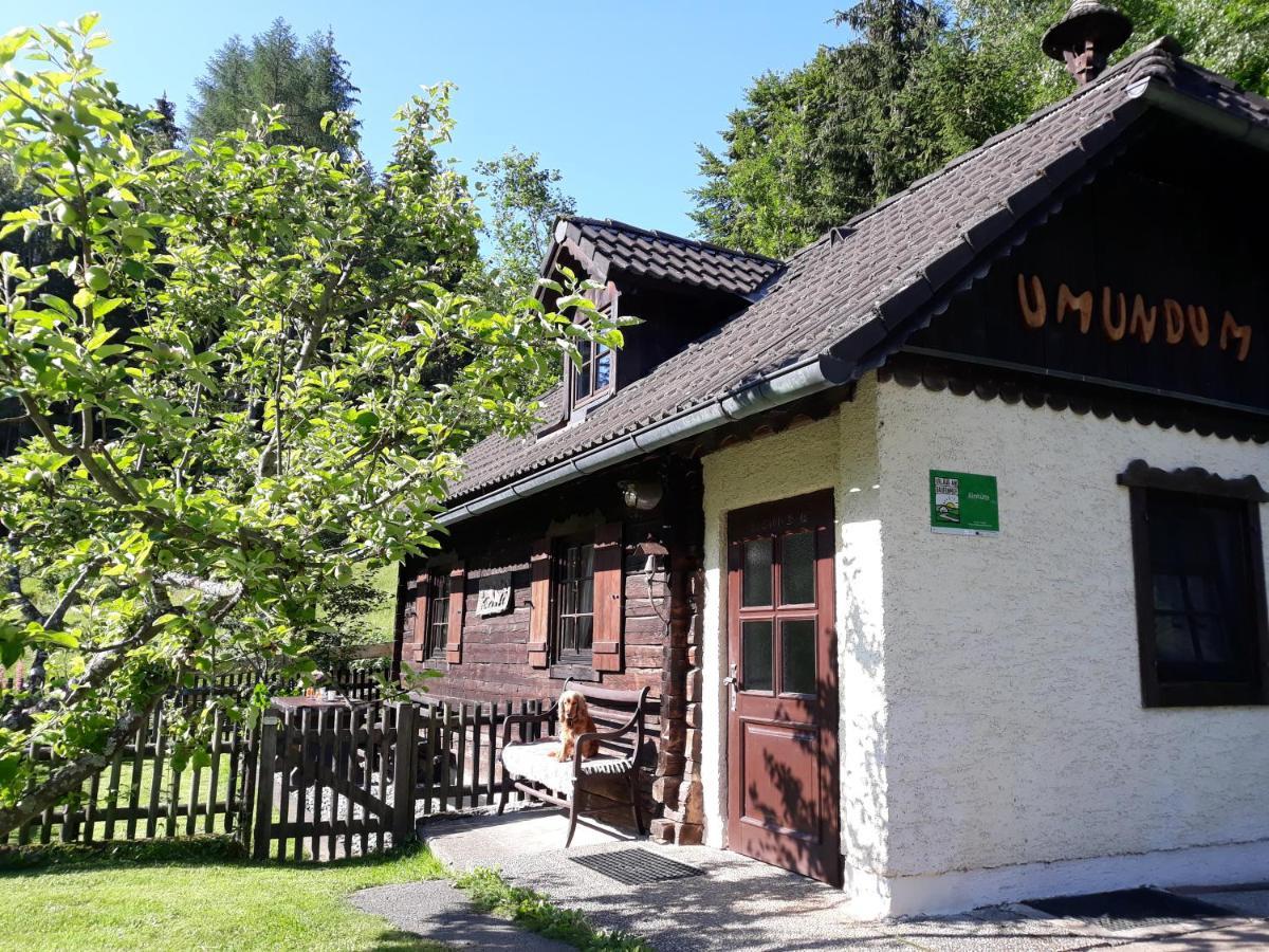 Вилла Umundumhuette Katsch an der Mur Экстерьер фото